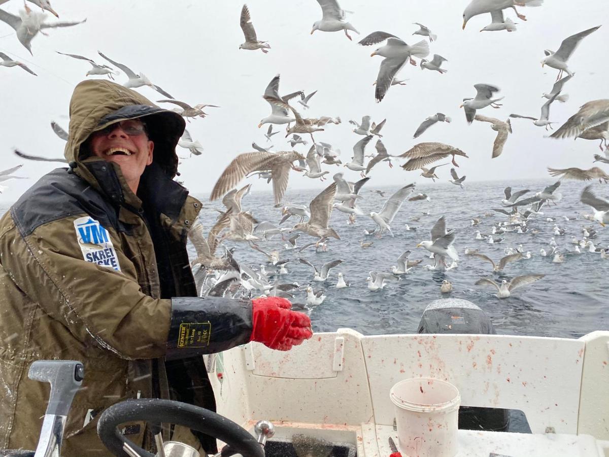 Rorbu I Lofoten Leknes Kültér fotó