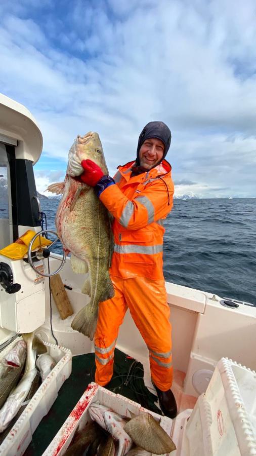 Rorbu I Lofoten Leknes Kültér fotó